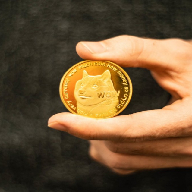 دوج کوین اقیانوس آبی خبر اخبار برندها (7)